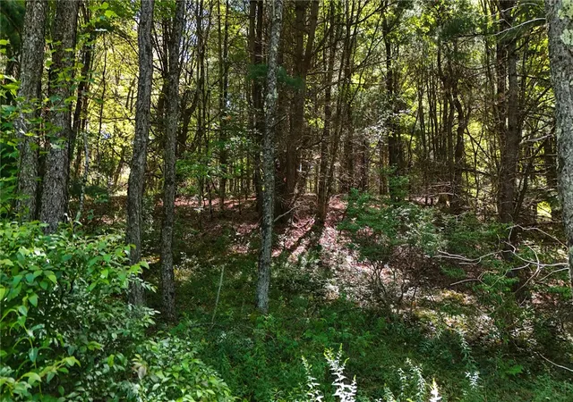 Photo 4 of Sale Pending at 6 County Hwy 12, Laurens, NY 13796 | MLS# R1673631 | Listing updated on 2026-09-11