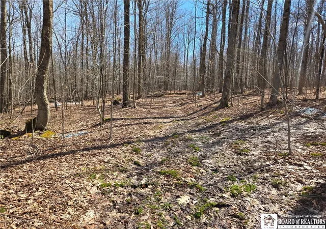Photo 3 of Sale Pending at 00 W Cobb Rd, Falconer, NY 14733 | MLS# R1674971 | Listing updated on 2026-08-28