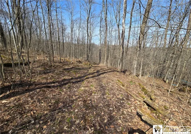 Photo 3 of Sale Pending at 00 W Cobb Rd, Falconer, NY 14733 | MLS# R1674971 | Listing updated on 2026-08-28