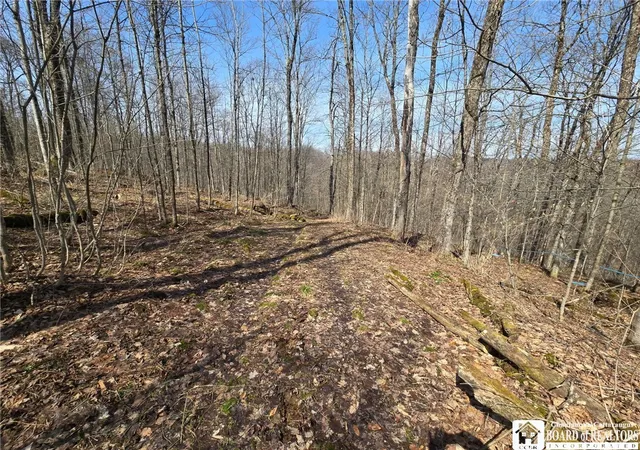 Photo 4 of Sale Pending at 00 W Cobb Rd, Falconer, NY 14733 | MLS# R1674971 | Listing updated on 2026-08-28