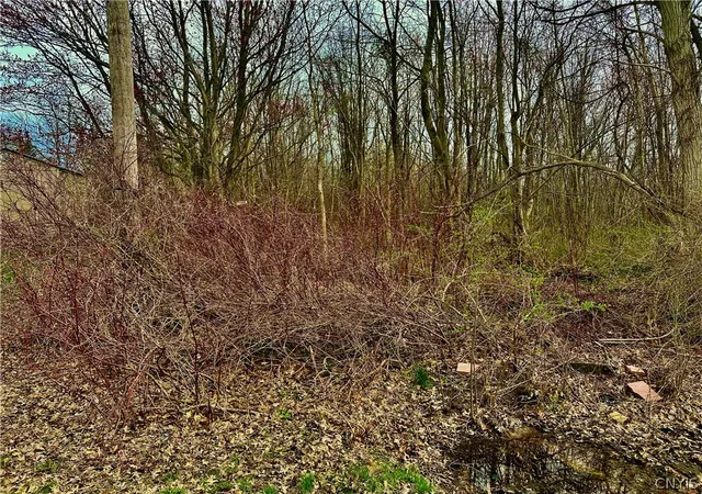 Photo 2 of Sale Pending at 0 Mccracken Dr, Oswego, NY 13126 | MLS# S1676163 | Listing updated on 2026-08-19