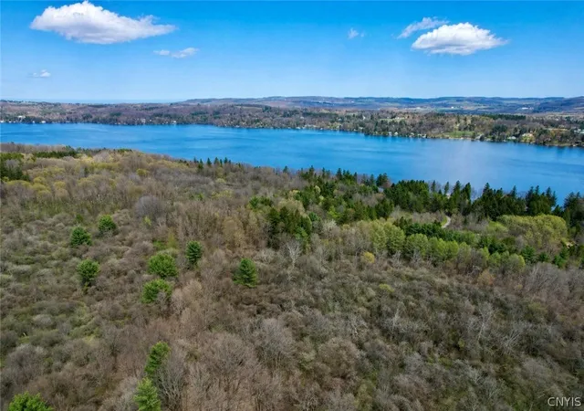 Photo 3 of Land for sale at 00 Route 92, Cazenovia, NY 13035 | MLS# S1676190 | Listing updated on 2026-09-02