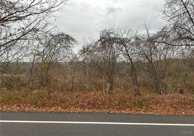 Photo 1 of Land for sale at 4444 W Seneca, Syracuse, NY 13215 | MLS# S1677175 | Listing updated on 2026-08-05
