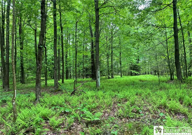 Photo 3 of Land for sale at 0 Walker Rd, Bemus Point, NY 14712 | MLS# R1676206 | Listing updated on 2026-09-15