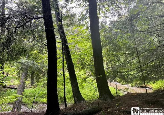 Photo 3 of Land for sale at 0 Walker Rd, Bemus Point, NY 14712 | MLS# R1676206 | Listing updated on 2026-09-15
