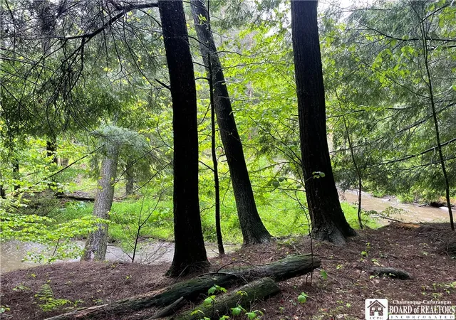 Photo 4 of Land for sale at 0 Walker Rd, Bemus Point, NY 14712 | MLS# R1676206 | Listing updated on 2026-09-15
