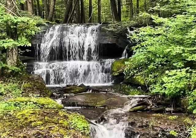 Photo 1 of Land for sale at Bragg Holw Rd, Margaretville, NY 12455 | MLS# R1677155 | Listing updated on 2026-08-05