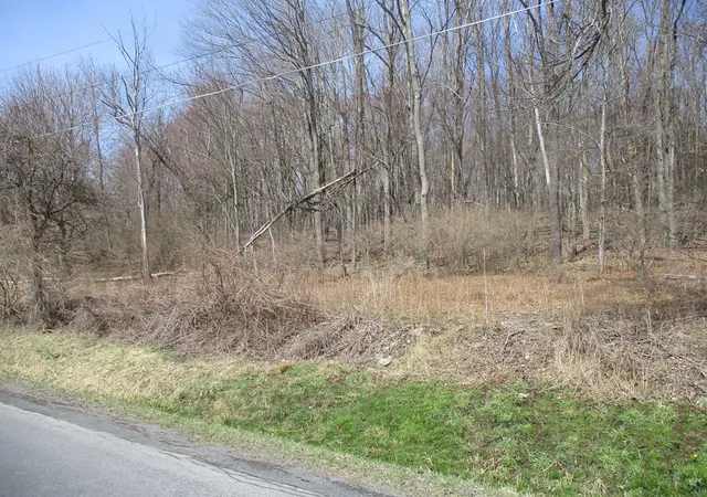 Photo 2 of Land for sale at 188 Orchard Hl Rd, Elmira, NY 14903 | MLS# R1674190 | Listing updated on 2026-09-08