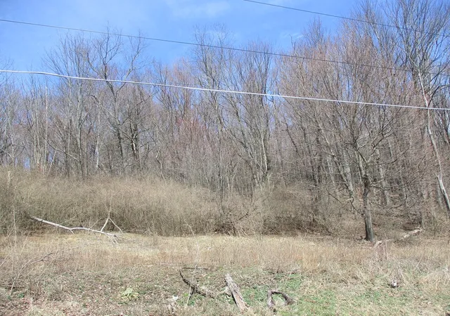 Photo 3 of Land for sale at 188 Orchard Hl Rd, Elmira, NY 14903 | MLS# R1674190 | Listing updated on 2026-09-08