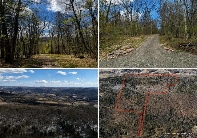 Photo 1 of Land for sale at 0 Patent Line Rd, Sidney, NY 13838 | MLS# R1678199 | Listing updated on 2026-08-05