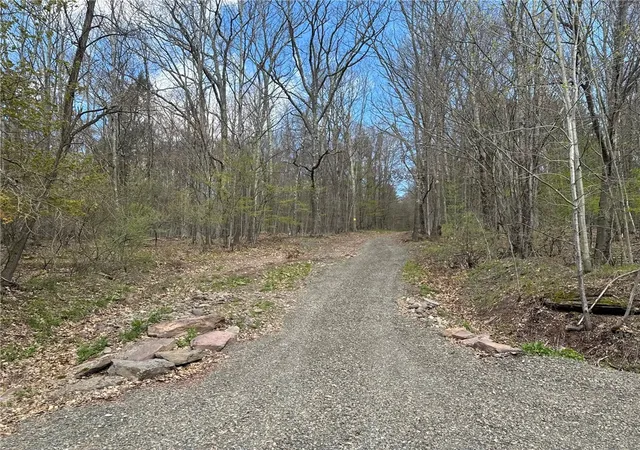 Photo 2 of Land for sale at 0 Patent Line Rd, Sidney, NY 13838 | MLS# R1678199 | Listing updated on 2026-08-05