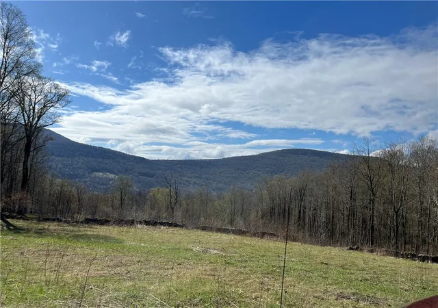 Photo 1 of Sale Pending at Vega Mountain Rd, Roxbury, NY 12474 | MLS# R1676543 | Listing updated on 2026-08-22