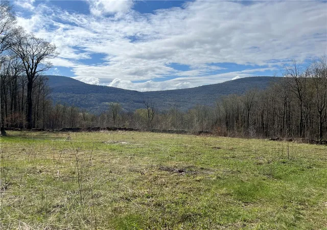 Photo 2 of Sale Pending at Vega Mountain Rd, Roxbury, NY 12474 | MLS# R1676543 | Listing updated on 2026-08-22