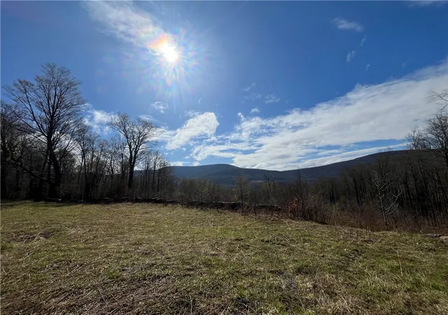 Photo 3 of Sale Pending at Vega Mountain Rd, Roxbury, NY 12474 | MLS# R1676543 | Listing updated on 2026-08-22