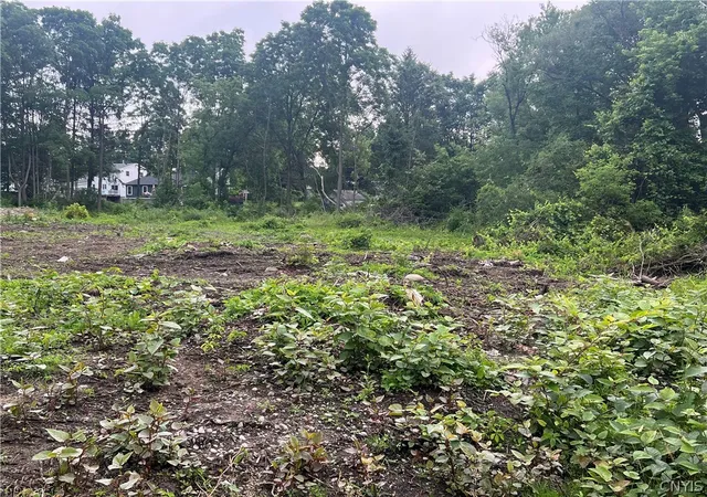 Photo 3 of Land for sale at Franklin St, Homer, NY 13077 | MLS# S1679193 | Listing updated on 2026-08-09