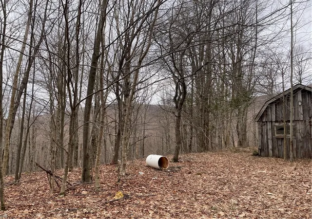 Photo 2 of Land for sale at 4 11 West Highland Rd, Stamford, NY 12167 | MLS# R1678553 | Listing updated on 2026-08-26