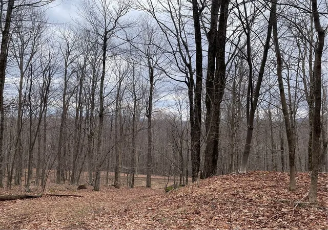 Photo 3 of Land for sale at 4 11 West Highland Rd, Stamford, NY 12167 | MLS# R1678553 | Listing updated on 2026-08-26