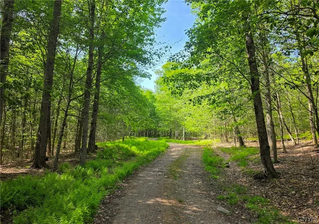 Photo 2 of Land for sale at #2 Tamblin Ridge Trl, Bernhards Bay, NY 13028 | MLS# S1679779 | Listing updated on 2026-09-09