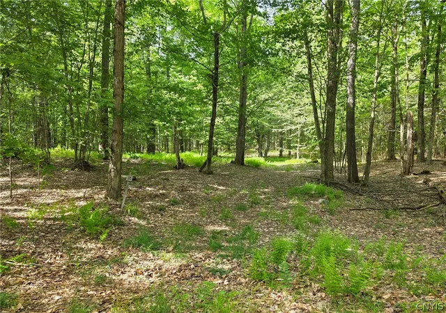 Photo 3 of Land for sale at #2 Tamblin Ridge Trl, Bernhards Bay, NY 13028 | MLS# S1679779 | Listing updated on 2026-09-09