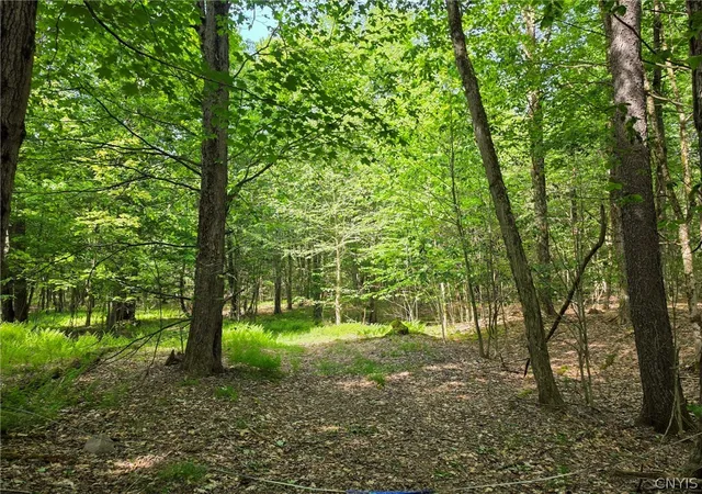 Photo 4 of Land for sale at #2 Tamblin Ridge Trl, Bernhards Bay, NY 13028 | MLS# S1679779 | Listing updated on 2026-09-09