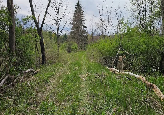 Photo 3 of Land for sale at Hancock Dr, Horseheads, NY 14845 | MLS# S1680155 | Listing updated on 2026-09-08