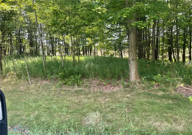 Photo 2 of Sale Pending at State Hwy 206, Sidney Center, NY 13839 | MLS# R1679618 | Listing updated on 2026-08-20