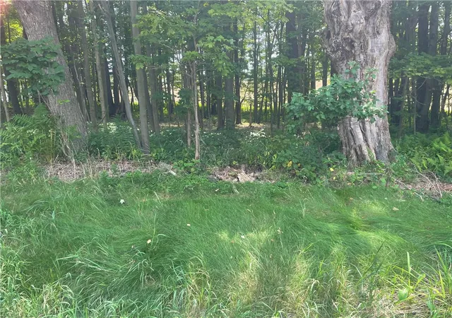 Photo 3 of Sale Pending at State Hwy 206, Sidney Center, NY 13839 | MLS# R1679618 | Listing updated on 2026-08-20