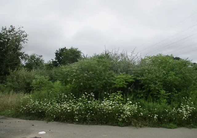 Photo 3 of Land for sale at 130 Chestnut Dr, Horseheads, NY 14845 | MLS# R1681092 | Listing updated on 2026-09-08