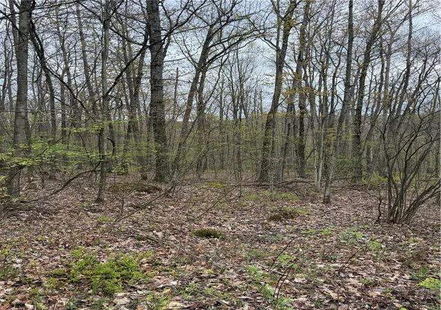 Land for sale at 10513 Hilltop Dr, Corning, NY 14830 | MLS# R1681667 | Listing updated on 2026-09-15