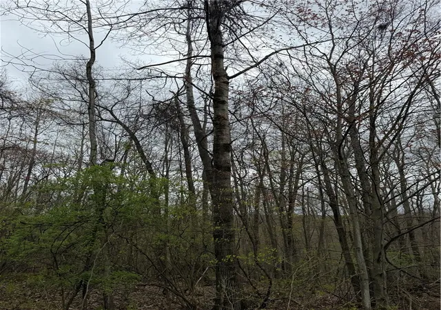 Photo 1 of Land for sale at 10513 Hilltop Dr, Corning, NY 14830 | MLS# R1681667 | Listing updated on 2026-09-15