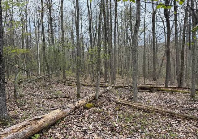 Photo 3 of Land for sale at 10513 Hilltop Dr, Corning, NY 14830 | MLS# R1681667 | Listing updated on 2026-09-15