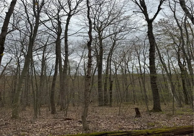 Photo 4 of Land for sale at 10513 Hilltop Dr, Corning, NY 14830 | MLS# R1681667 | Listing updated on 2026-09-15