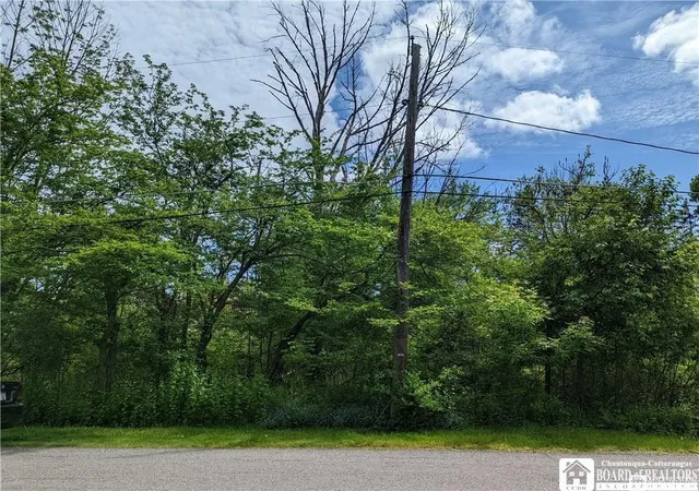 Photo 2 of Land for sale at 45 Magnolia Ave, Jamestown, NY 14701 | MLS# R1682371 | Listing updated on 2026-08-13