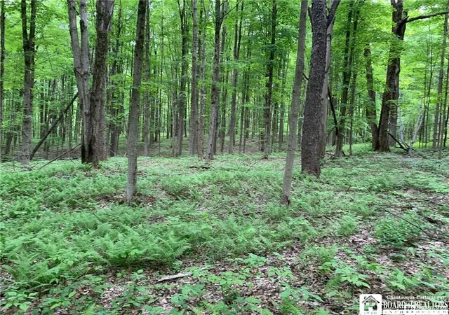 Photo 2 of Sale Pending at 905 Waterman Rd, Kennedy, NY 14747 | MLS# R1683097 | Listing updated on 2026-08-24