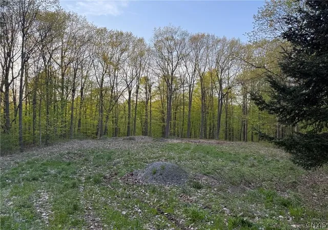 Photo 1 of Land for sale at 15189 Valley Dr, Clayton, NY 13624 | MLS# S1684786 | Listing updated on 2026-08-29