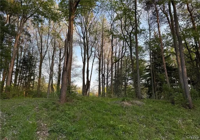 Photo 3 of Land for sale at 15189 Valley Dr, Clayton, NY 13624 | MLS# S1684786 | Listing updated on 2026-08-29