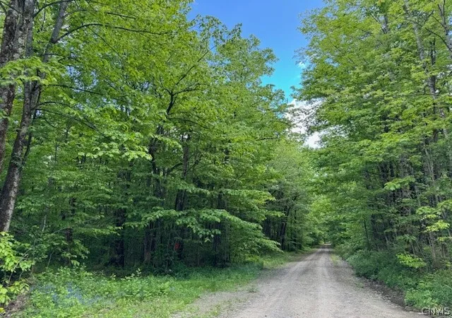 Photo 1 of Land for sale at Harris Rd, Cincinnatus, NY 13040 | MLS# S1683750 | Listing updated on 2026-09-03