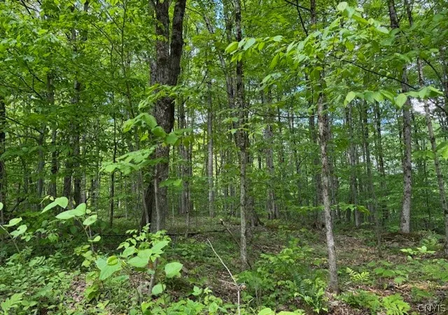 Photo 2 of Land for sale at Harris Rd, Cincinnatus, NY 13040 | MLS# S1683750 | Listing updated on 2026-09-03