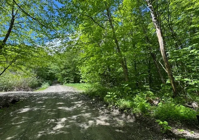 Photo 3 of Land for sale at Harris Rd, Cincinnatus, NY 13040 | MLS# S1683750 | Listing updated on 2026-09-03