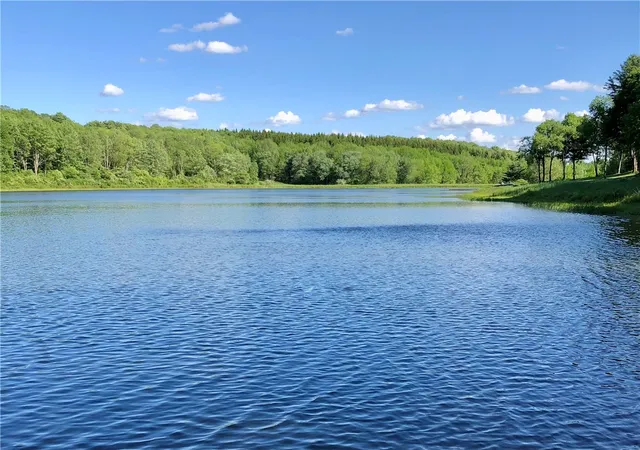 Photo 3 of Single family home for sale at 540 Sal Bren Rd, Delhi, NY 13753 | MLS# R1683692 | Listing updated on 2026-08-15