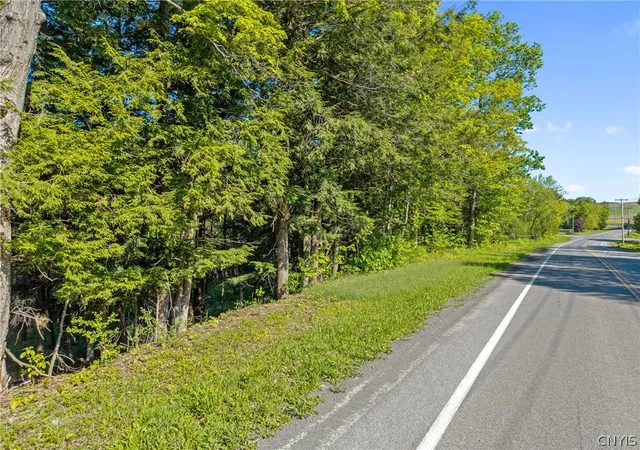 Photo 3 of Land for sale at Nelson Rd, Cazenovia, NY 13035 | MLS# S1687047 | Listing updated on 2026-09-15