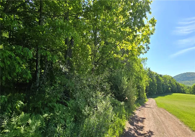 Photo 3 of Sale Pending at Star Dr, Stamford, NY 12167 | MLS# R1686894 | Listing updated on 2026-08-27