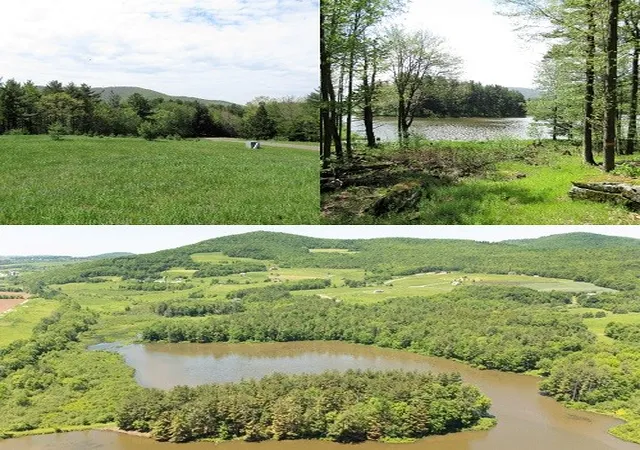 Land for sale at 125 Mayhem Pond Dr, Stamford, NY 12167 | MLS# R1689692