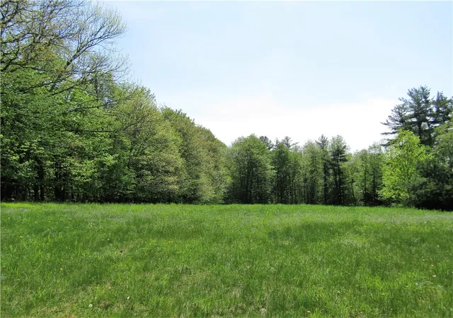 Photo 2 of Land for sale at 125 Mayhem Pond Dr, Stamford, NY 12167 | MLS# R1689692 | Listing updated on 2026-09-04