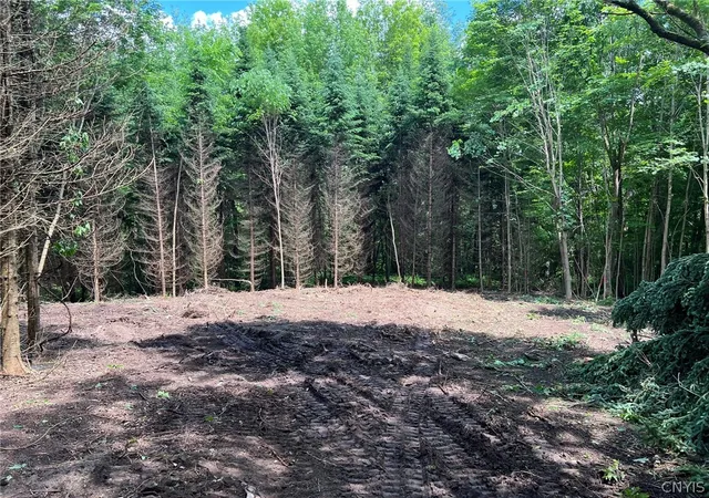 Photo 1 of Land for sale at 6201 Us 20, Lafayette, NY 13084 | MLS# S1690636 | Listing updated on 2026-09-09