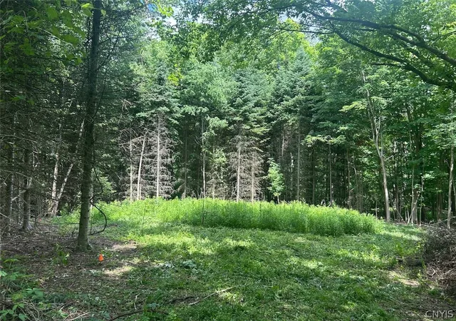Photo 2 of Land for sale at 6201 Us 20, Lafayette, NY 13084 | MLS# S1690636 | Listing updated on 2026-09-09