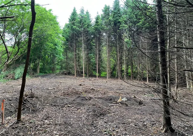 Photo 3 of Land for sale at 6201 Us 20, Lafayette, NY 13084 | MLS# S1690636 | Listing updated on 2026-09-09