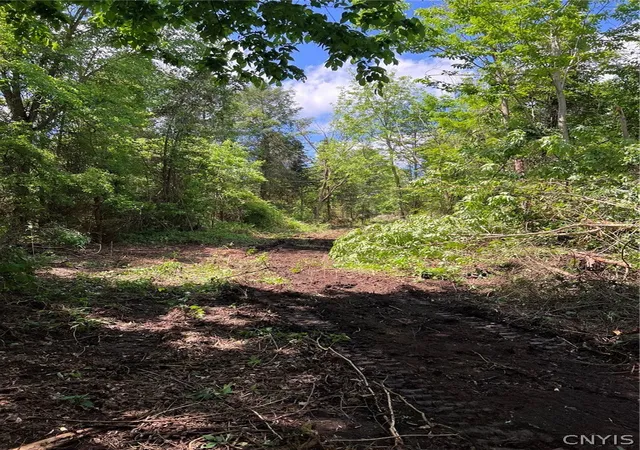 Photo 3 of Land for sale at 6201 US 20, Lafayette, NY 13084 | MLS# S1690636 | Listing updated on 2026-09-09