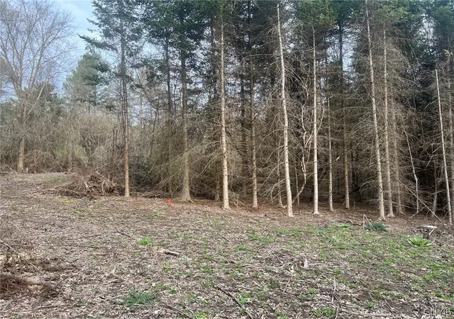 Photo 4 of Land for sale at 6201 US 20, Lafayette, NY 13084 | MLS# S1690636 | Listing updated on 2026-09-09