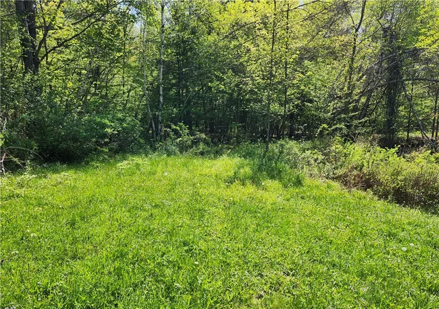 Photo 3 of Land for sale at Houck Rd, Unadilla, NY 13849 | MLS# R1691986 | Listing updated on 2026-08-27